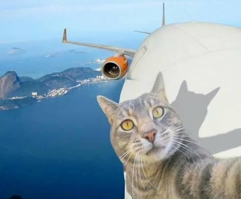 Отлёт